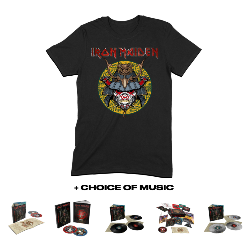 silver and black vinyl iron maiden