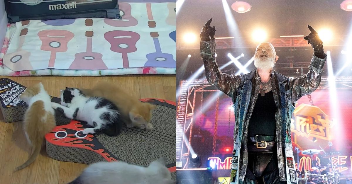kittens priest