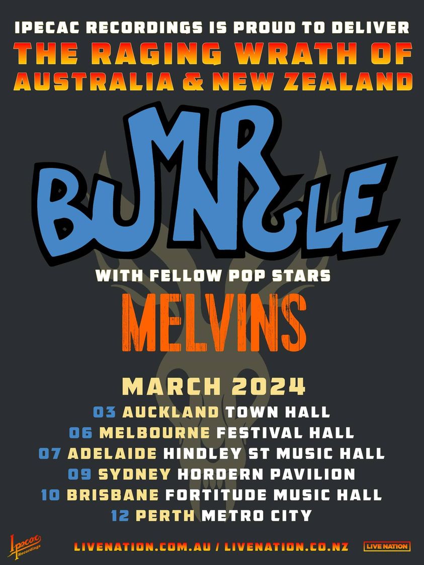 Mr Bungle