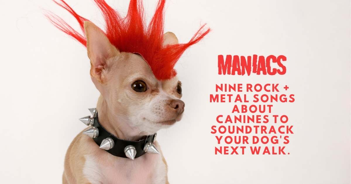 dogs songs