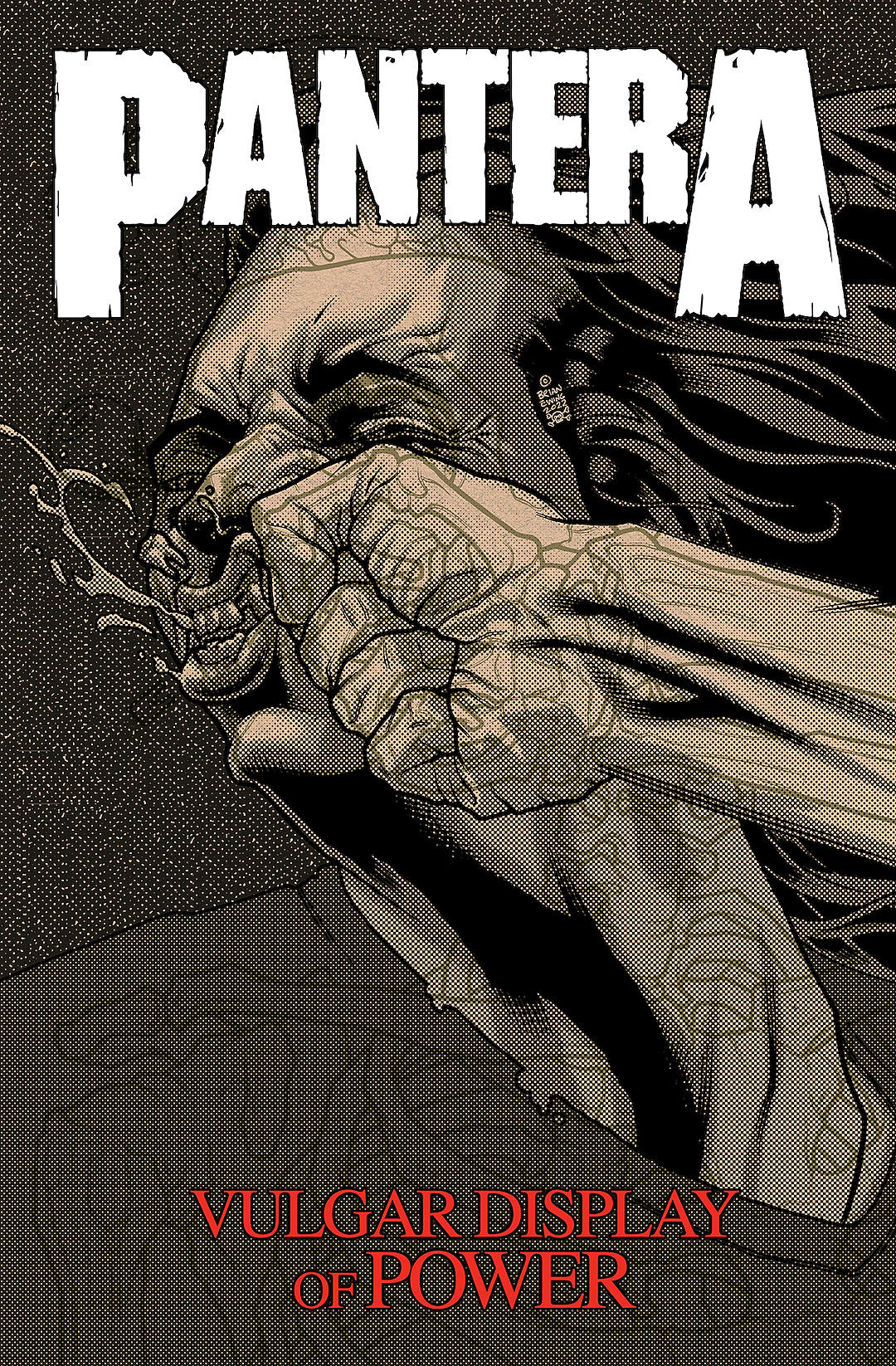 pantera graphic novel