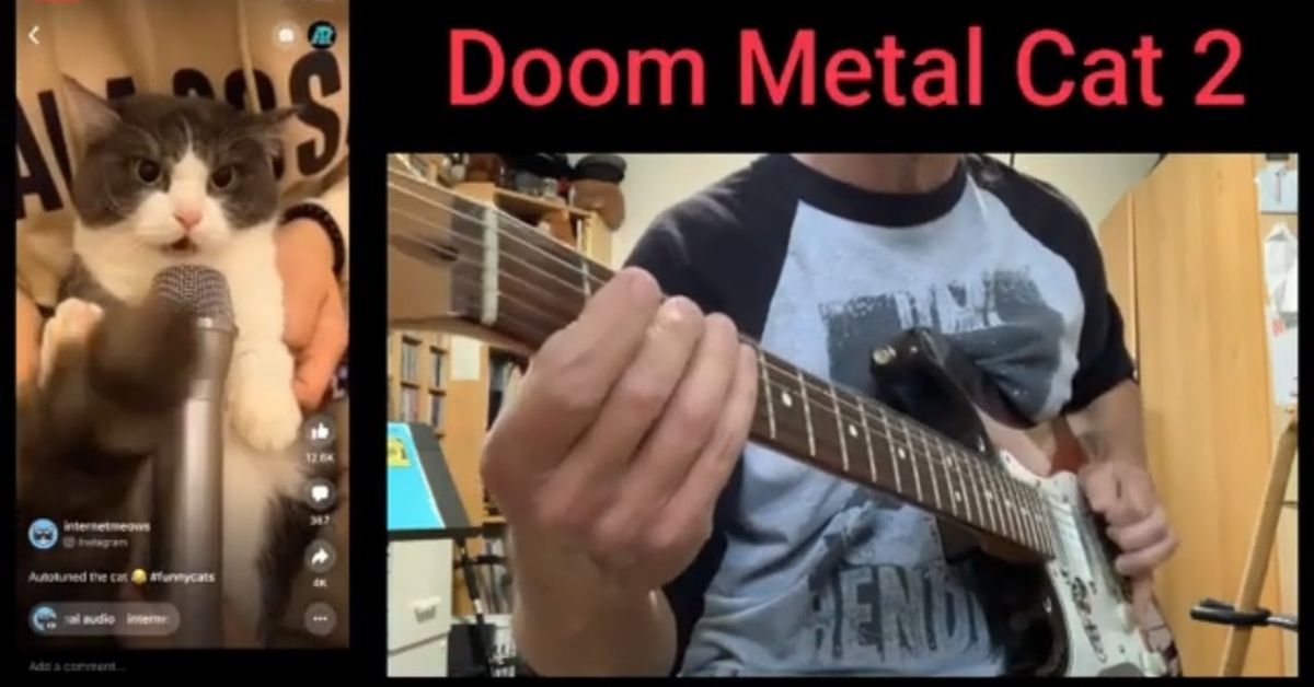 doom metal cat 2