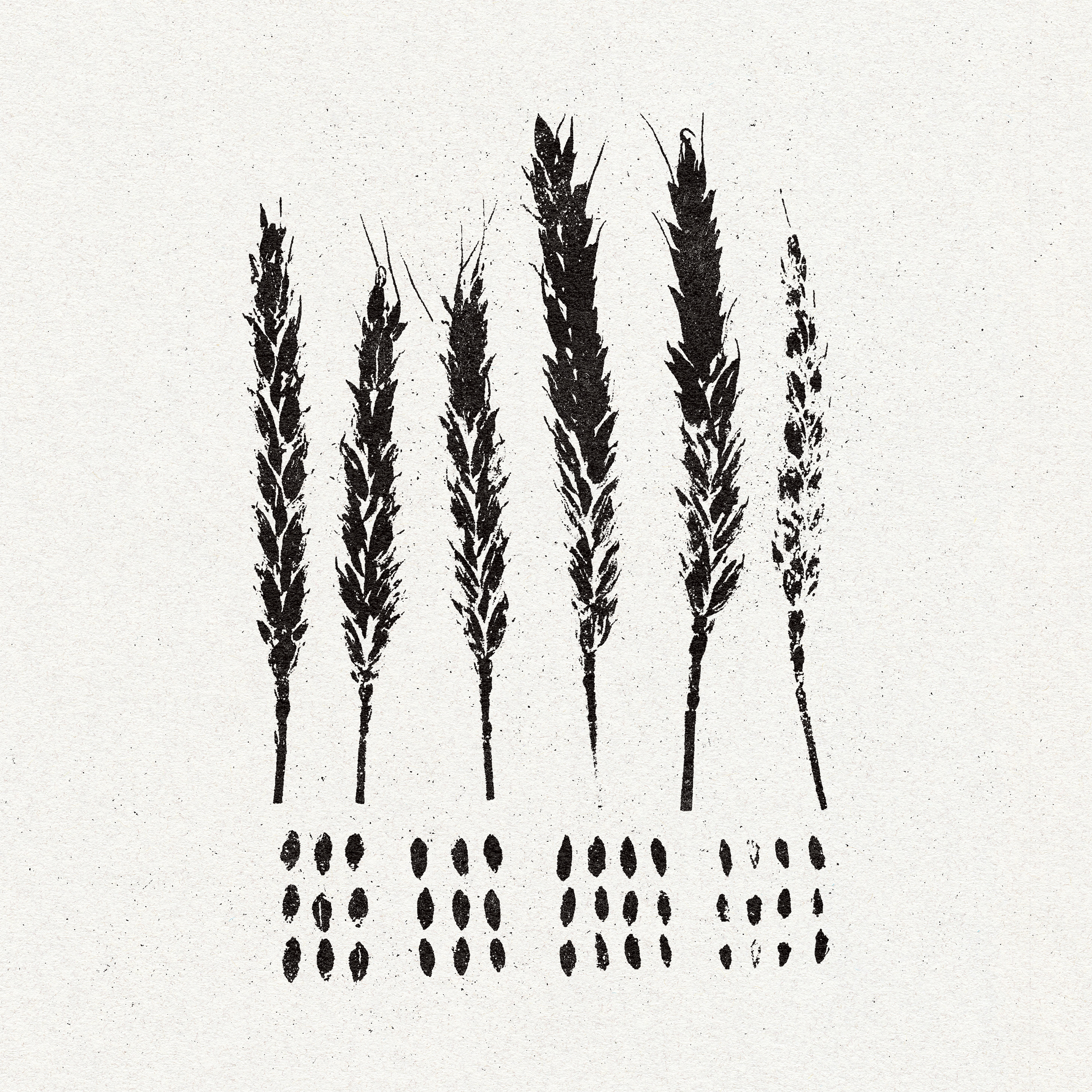 Lo! Album Cover 'THE GLEANERS'