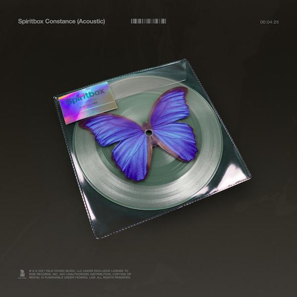 Constance album art
