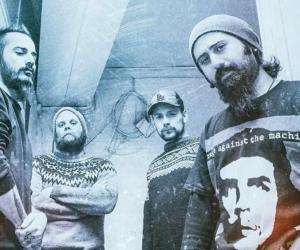 Iran's Confess Release New Track 'Army of Pigs!'