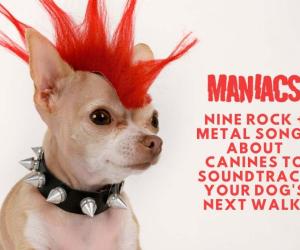 NINE SONGS DOGS
