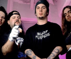 Pantera 