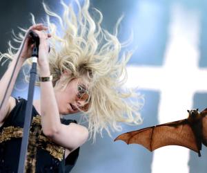Taylor Momsen 
