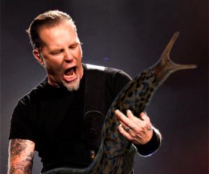 There's A Tumblr Dedicated To Swapping Guitars With Slugs