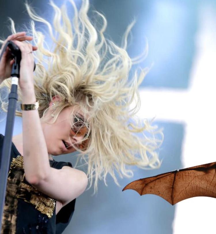 Taylor Momsen 