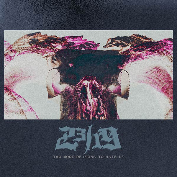 Two More Reason To Hate Us artwork
