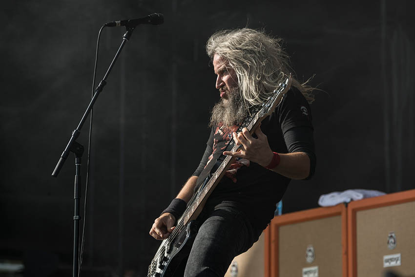 Mastodon 6