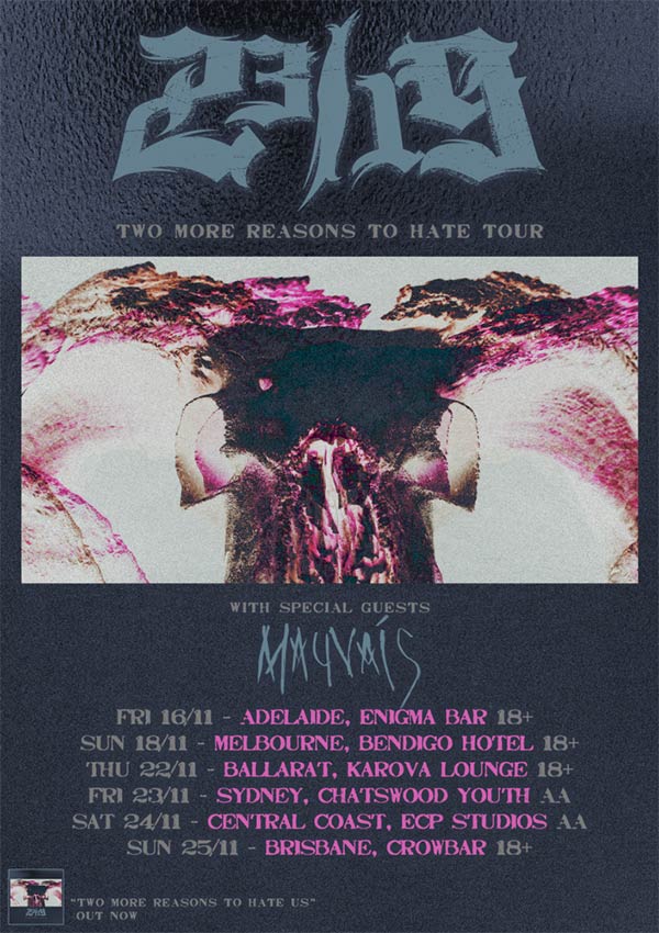Two More Reasons To Hate tour poster